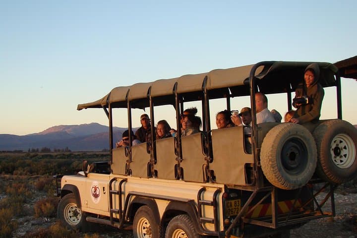 Overnight Safari to Inverdoorn Game Reserve from Cape Town photo 2