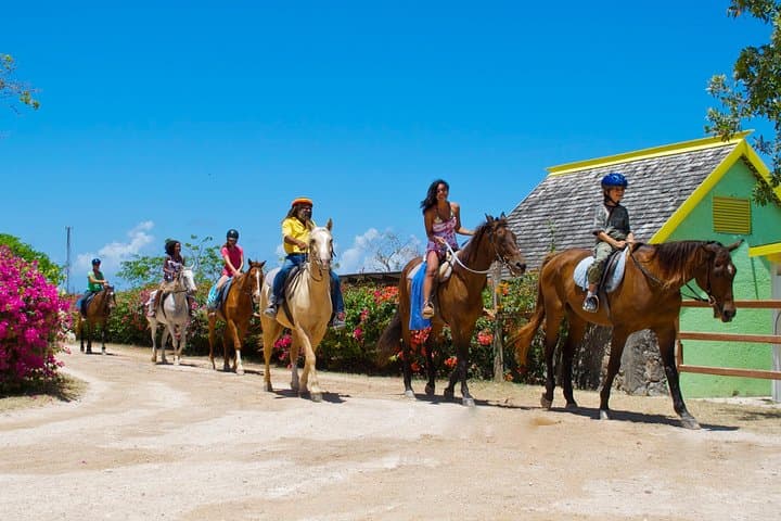 Horseback Riding and Beach Swim at Braco: Sand n Saddle Tour from Falmouth photo 3