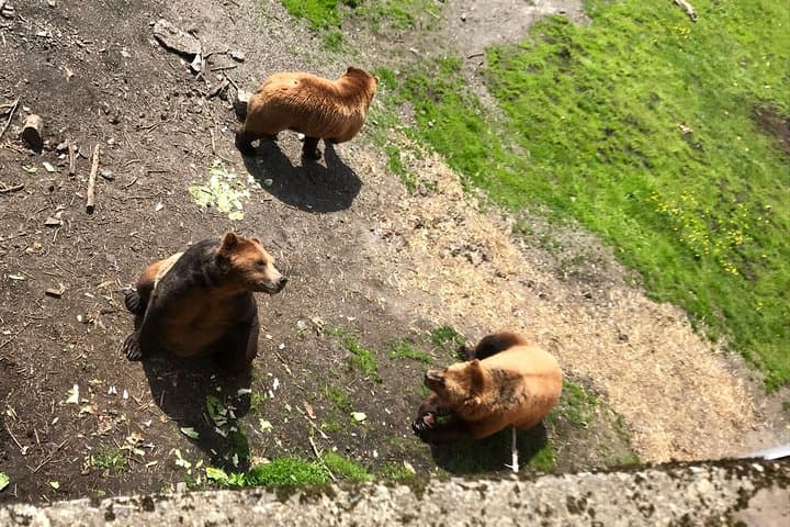 Explore Sitka's Rich Wilderness and Culture: A Private Two-Hour Tour photo 3