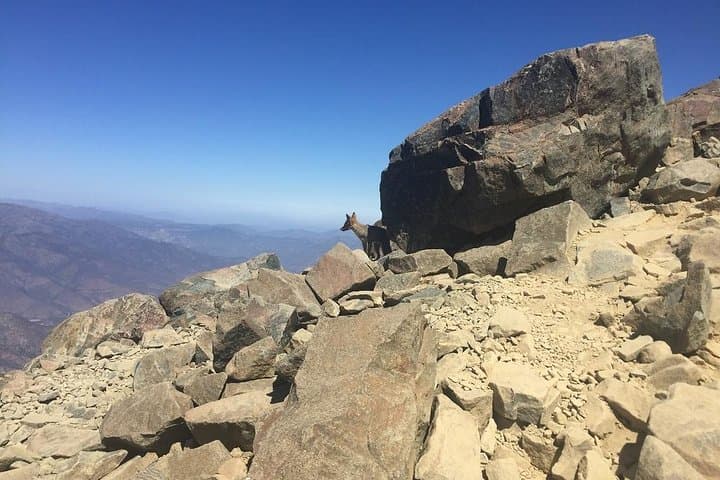 Hike La Campana National Park: Guided Summit from Valparaíso photo 4