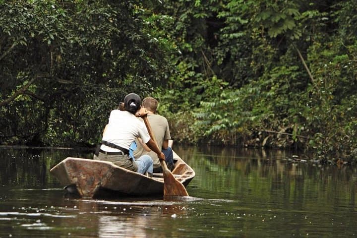 3-Day Tambopata Amazon Jungle Tour at Hacienda Concepción — Lake Sandoval & Canopy Walkway photo 4