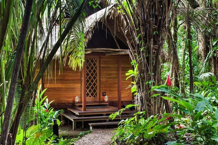 3-Day Tambopata Amazon Jungle Tour at Hacienda Concepción — Lake Sandoval & Canopy Walkway photo 6