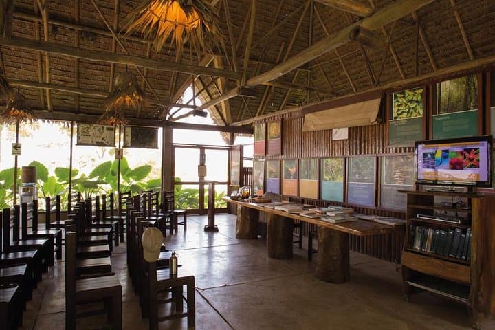 3-Day Tambopata Amazon Jungle Tour: Inkaterra Reserva Amazónica Wildlife Escape photo 3