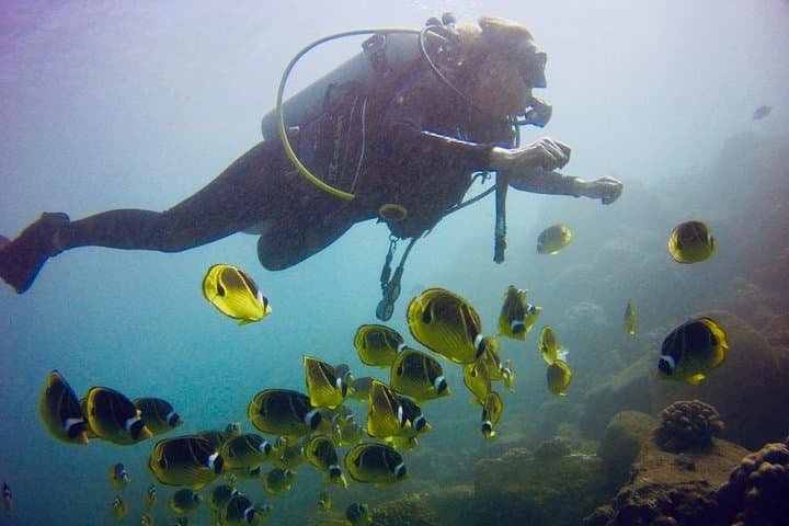 Kauai’s Ultimate South Shore Two‑Tank Shore Dive at Koloa Landing photo 5