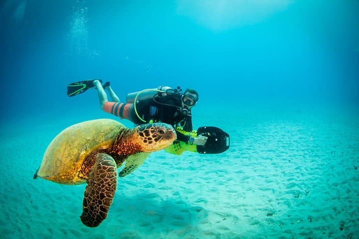 Kauai Scooter Dive: 2-Tank DPV Adventure from Poipu photo 2