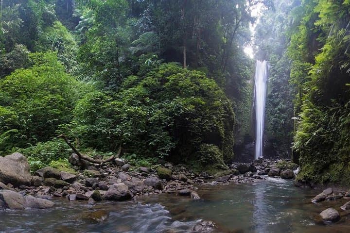 Hiking Casaroro Falls: Dumaguete’s 70m Waterfall Trek