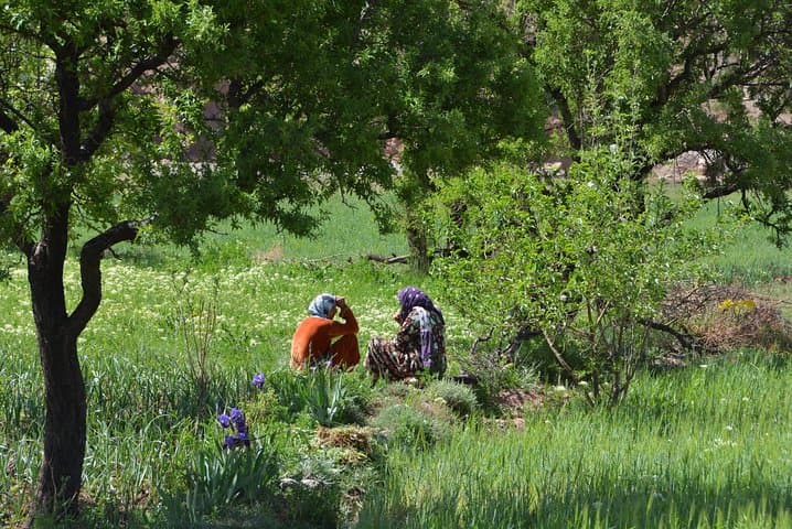 Ourika Valley Day Trip from Marrakech — Waterfalls, Berber Villages & Argan Co-ops photo 3