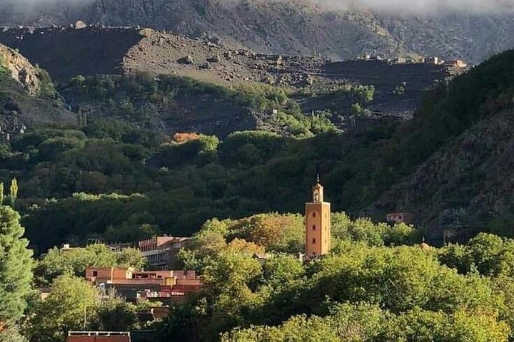 Atlas Mountains and Berber Village Day Trip from Marrakech photo 3
