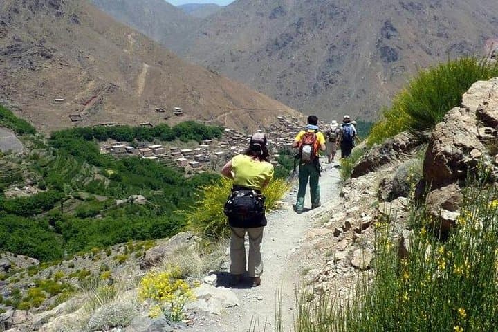 Atlas Mountains and Berber Village Day Trip from Marrakech photo 5