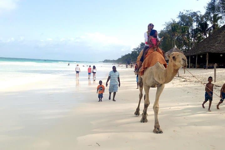 7-Day Diani Beach Adventure: Snorkel Dolphins, Mangroves & Kongo River