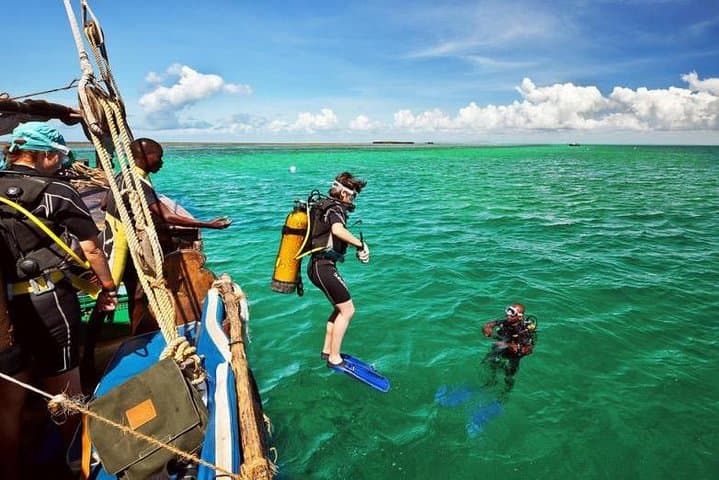 7-Day Diani Beach Adventure: Snorkel Dolphins, Mangroves & Kongo River photo 3