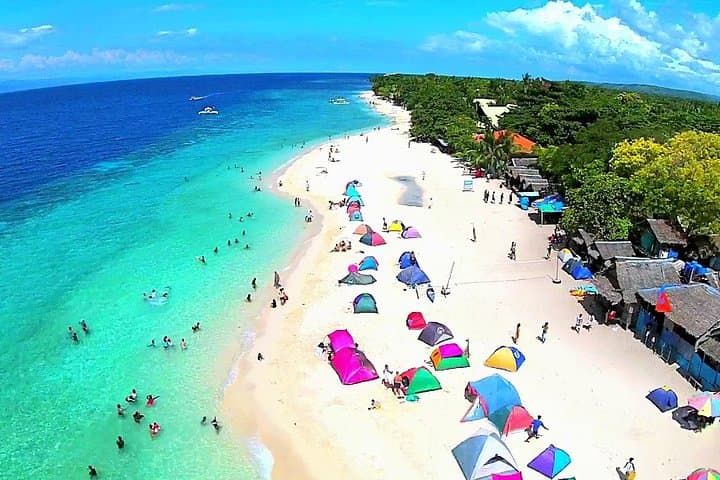 Moalboal Sardine Run, Sea Turtles & Kawasan Canyoneering Day Tour photo 1