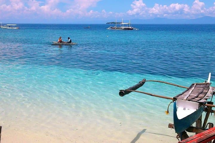 Moalboal Sardine Run, Sea Turtles & Kawasan Canyoneering Day Tour photo 2