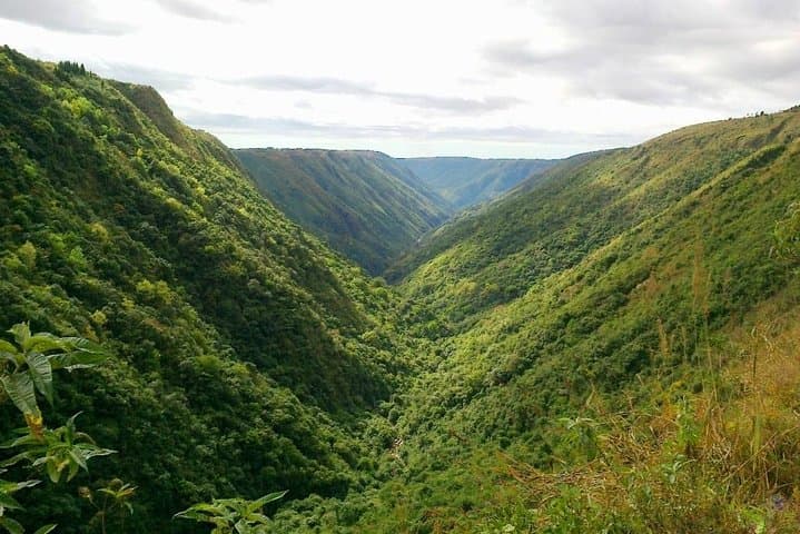 Day Trip to Shillong from Guwahati: Elephant Falls, Don Bosco Museum & Umiam Lake photo 2
