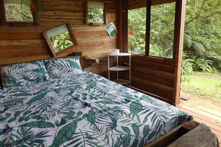 3-Day Nature Adventure from Cali: Permaculture, Jungle Hikes & Waterfall