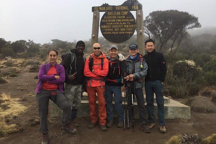 7-Day Lemosho Route Kilimanjaro Trek — Itinerary, Tips & Summit Strategy photo 2
