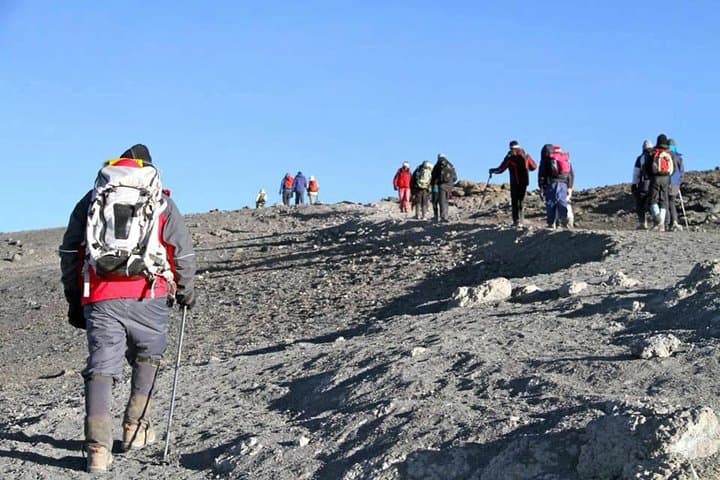 7-Day Lemosho Route Kilimanjaro Trek — Itinerary, Tips & Summit Strategy photo 4
