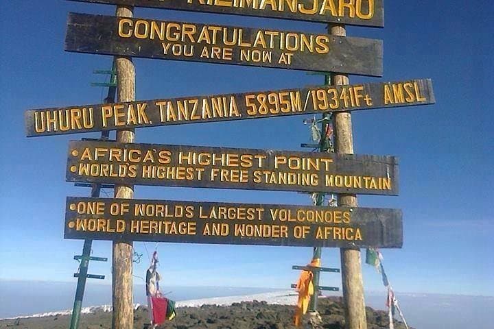 7-Day Lemosho Route Kilimanjaro Trek — Itinerary, Tips & Summit Strategy photo 5