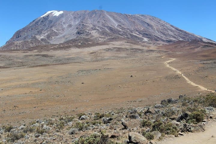 7-Day Lemosho Route Kilimanjaro Trek — Itinerary, Tips & Summit Strategy photo 6
