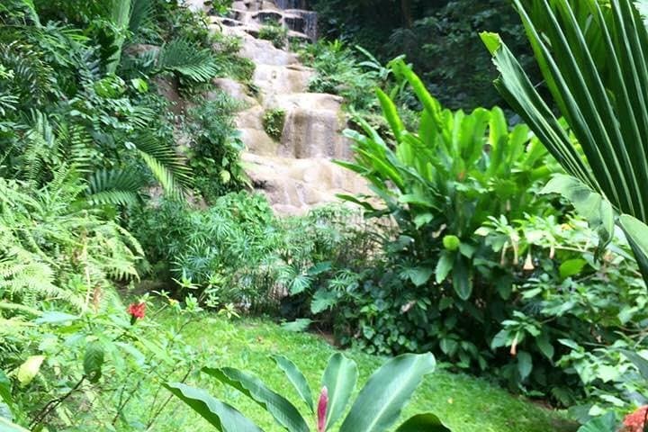 Climb Dunn's River and Explore Konoko Falls: Private Ocho Rios Waterfall Combo Tour