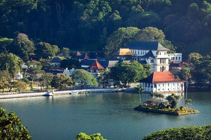 Private Kandy Day Tour from Negombo — Temple of the Tooth, Royal Botanic Gardens & Tea Estate Visit photo 4