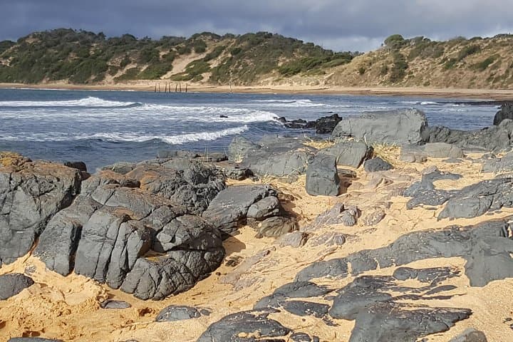 Private Small-Group Tours From Melbourne: Great Ocean Road, Phillip Island & Yarra Valley photo 5
