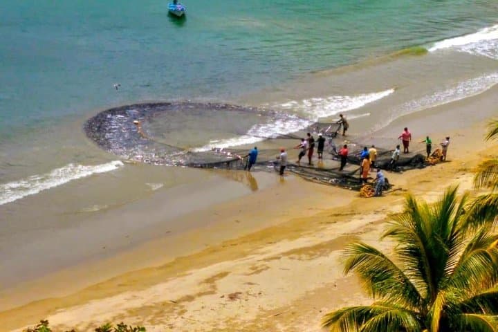 Grand Circle Tobago: 12‑Hour All‑Inclusive Island Tour From Dawn to Dusk photo 4