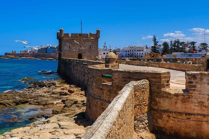 Essaouira Day Trip from Agadir — Guided Tour, Argan Goats & Medina Highlights photo 3