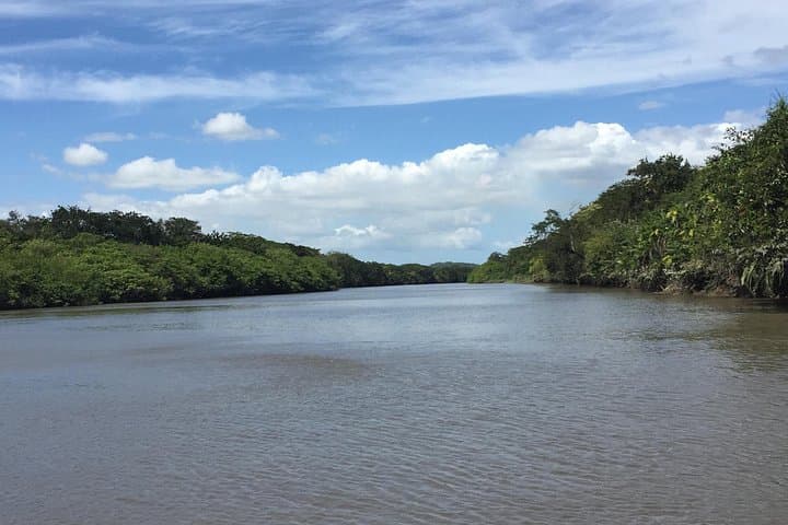 Palo Verde Wildlife & Tempisque River Boat Tour — Private Day Trip from Guanacaste photo 4
