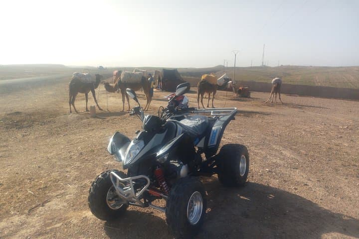 Agafay Desert Quad Biking and Camel Ride with Berber Lunch — Half-Day from Marrakech photo 2