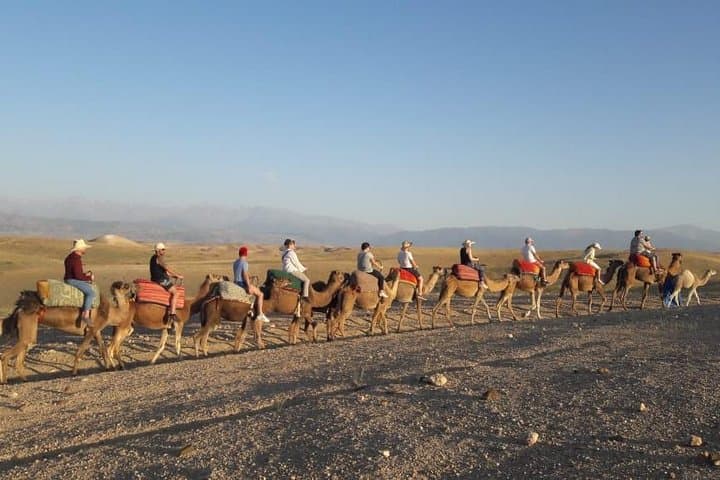 Agafay Desert Quad Biking and Camel Ride with Berber Lunch — Half-Day from Marrakech photo 3