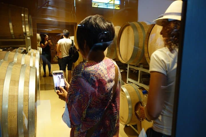 Private Wine Tour to Colonia Caroya — Boutique Wineries & Chef Pairing photo 4