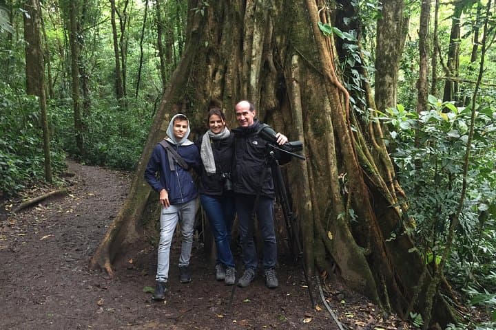 Private Guided Afternoon Nature Walk in Monteverde Cloud Forest Reserve