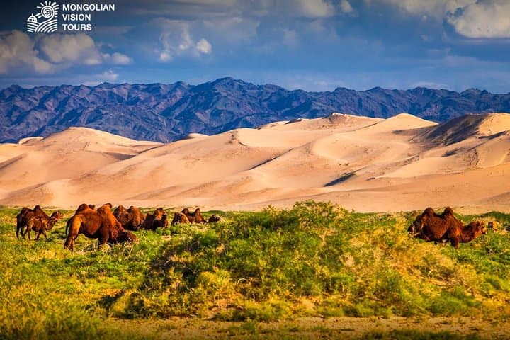 3-Day Semi Gobi: Terelj, Khugnu Khaan & Chinggis Khaan Statue photo 4