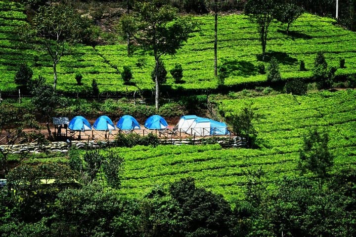 Overnight Camping at Suryanelli: Kolukkumalai Sunrise & Phantom Hill Trek, Munnar photo 2