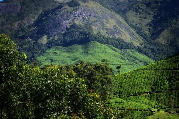 Overnight Camping at Suryanelli: Kolukkumalai Sunrise & Phantom Hill Trek, Munnar photo 5