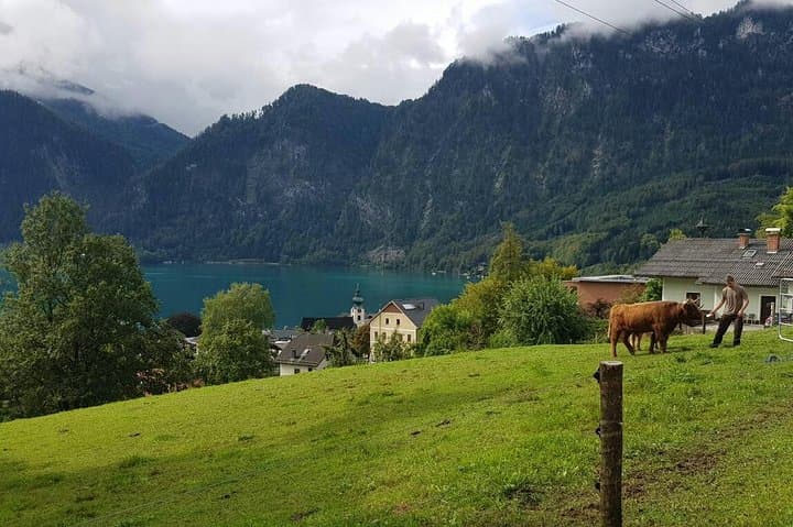 Private Day Trip from Vienna to Hallstatt: UNESCO Lakeside Village & Ancient Salt Mine photo 3