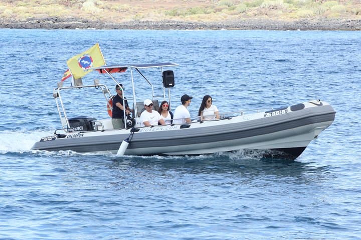 Tenerife Whale Watching and Marine Science Tour: Dolphins, Whales and Ocean Science photo 2