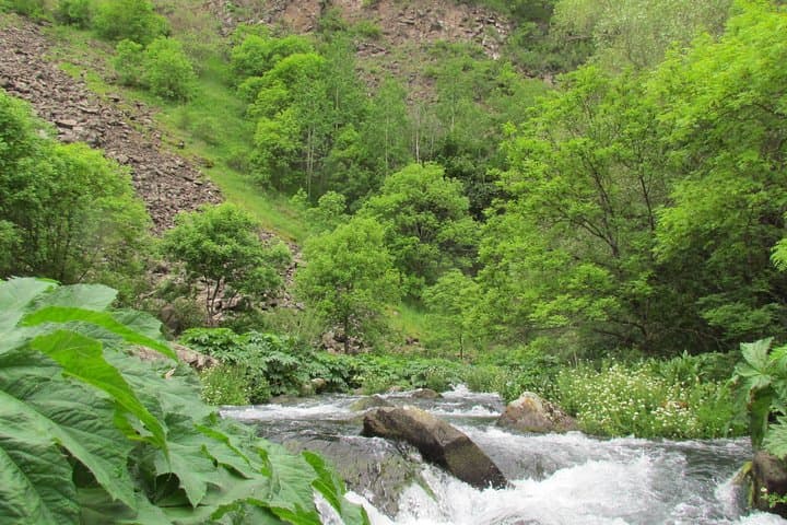 Dashbashi Canyon & Diamond Bridge Day Trip from Tbilisi: Kojori Fortress & Mtatsminda Views photo 6