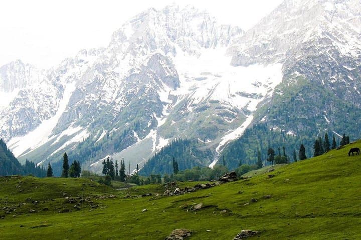 5-Day Romantic Kashmir Tour: Srinagar, Gulmarg, Sonamarg & Pahalgam Itinerary photo 4