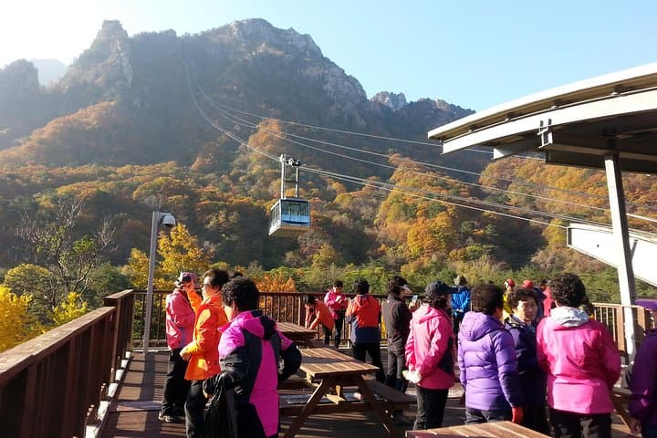 Eastern South Korea: 7-Day Cultural & Coastal Journey from Seoul