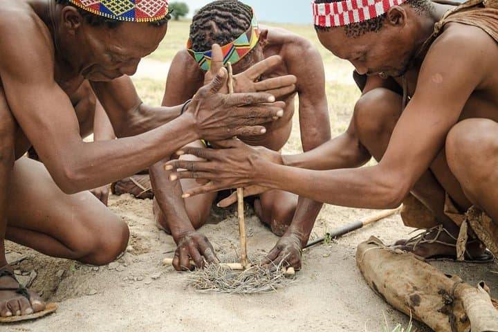 8-Day Namibia: Sossusvlei Dunes, Swakopmund Coast & Etosha Safari photo 3