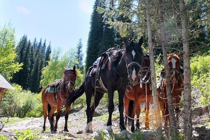 Horseback Riding in the Talgar Mountains: Day Ride with Kazakh Lunch & Archery photo 2