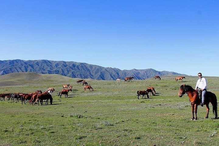 Horseback Riding in the Talgar Mountains: Day Ride with Kazakh Lunch & Archery photo 1