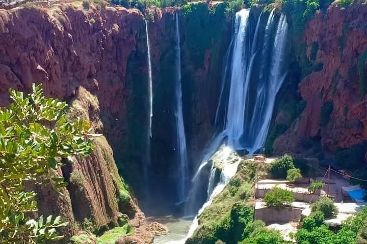 Day Trip to Ouzoud Waterfalls from Marrakech: Olive Groves, Monkeys & Pools