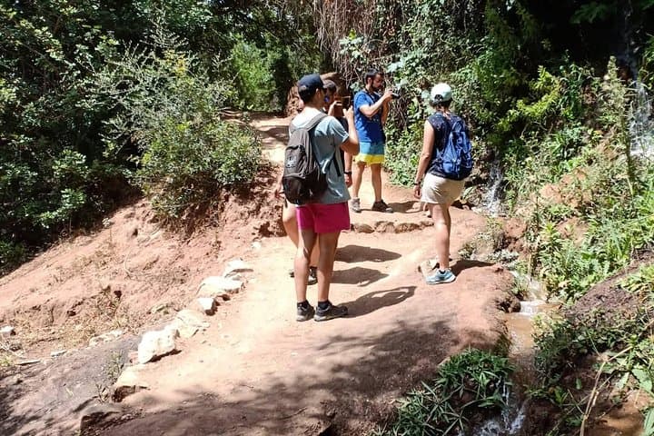 Day Trip to Ouzoud Waterfalls from Marrakech: Olive Groves, Monkeys & Pools photo 2