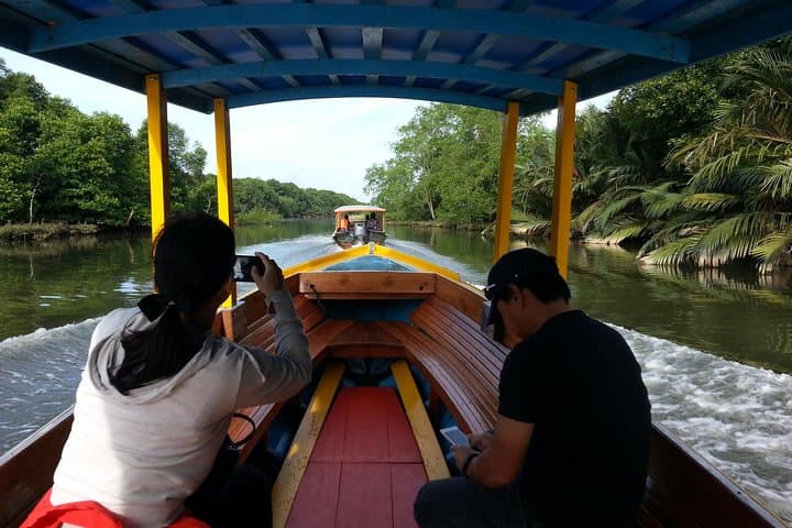Proboscis Monkey Private Boat Tour: Brunei River Mangrove Safari