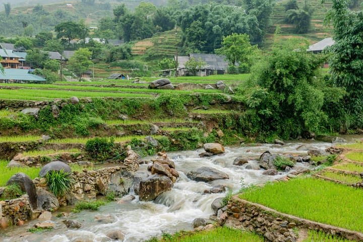 Muong Hoa Valley Hiking & Homestay: Sapa 2-Day Trek with Hmong Guides photo 3