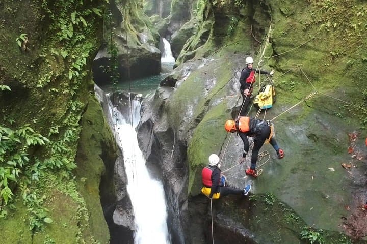 Advanced Canyon Experience — Dominica Waterfall Rappel in Rainforest Canyons