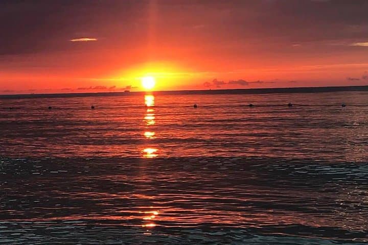 Negril One Love Bus Bar Crawl: Sunset Cliffs, Local Bars & Cliff Jumps photo 6